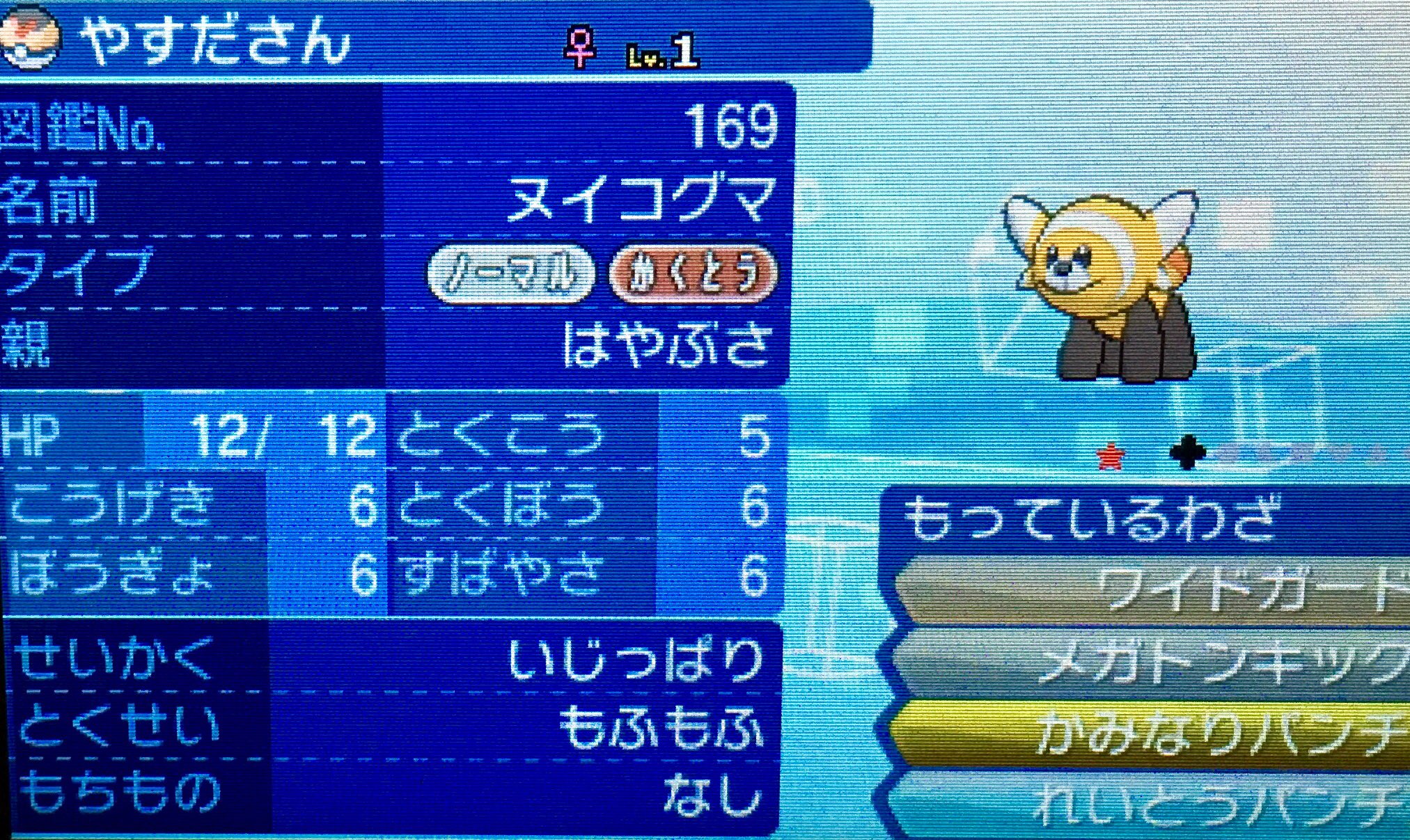 隼レイカ はやぶさの色違いヌイコグマが生まれました ポケモンサンムーン 色違いポケモン T Co Op7jic6ene Twitter