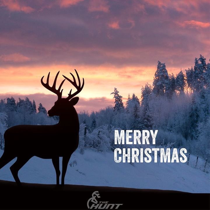 From our family to yours, Merry Christmas!