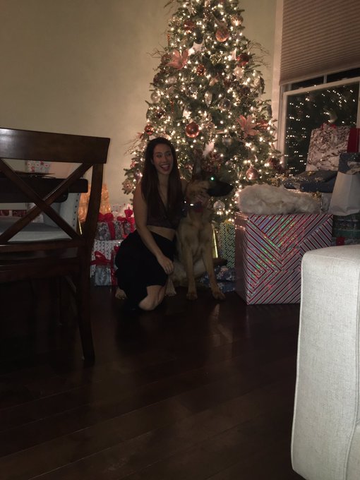 Merry Christmas everyone and happy holidays 🎄❤️️ https://t.co/b97ZNnlRVe