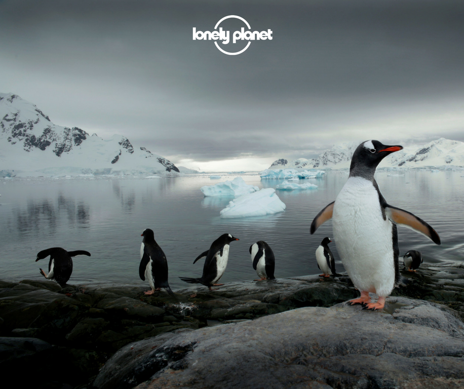 Wishing all of our Twitter followers a very merry Christmas - wherever you may be celebrating in the world!