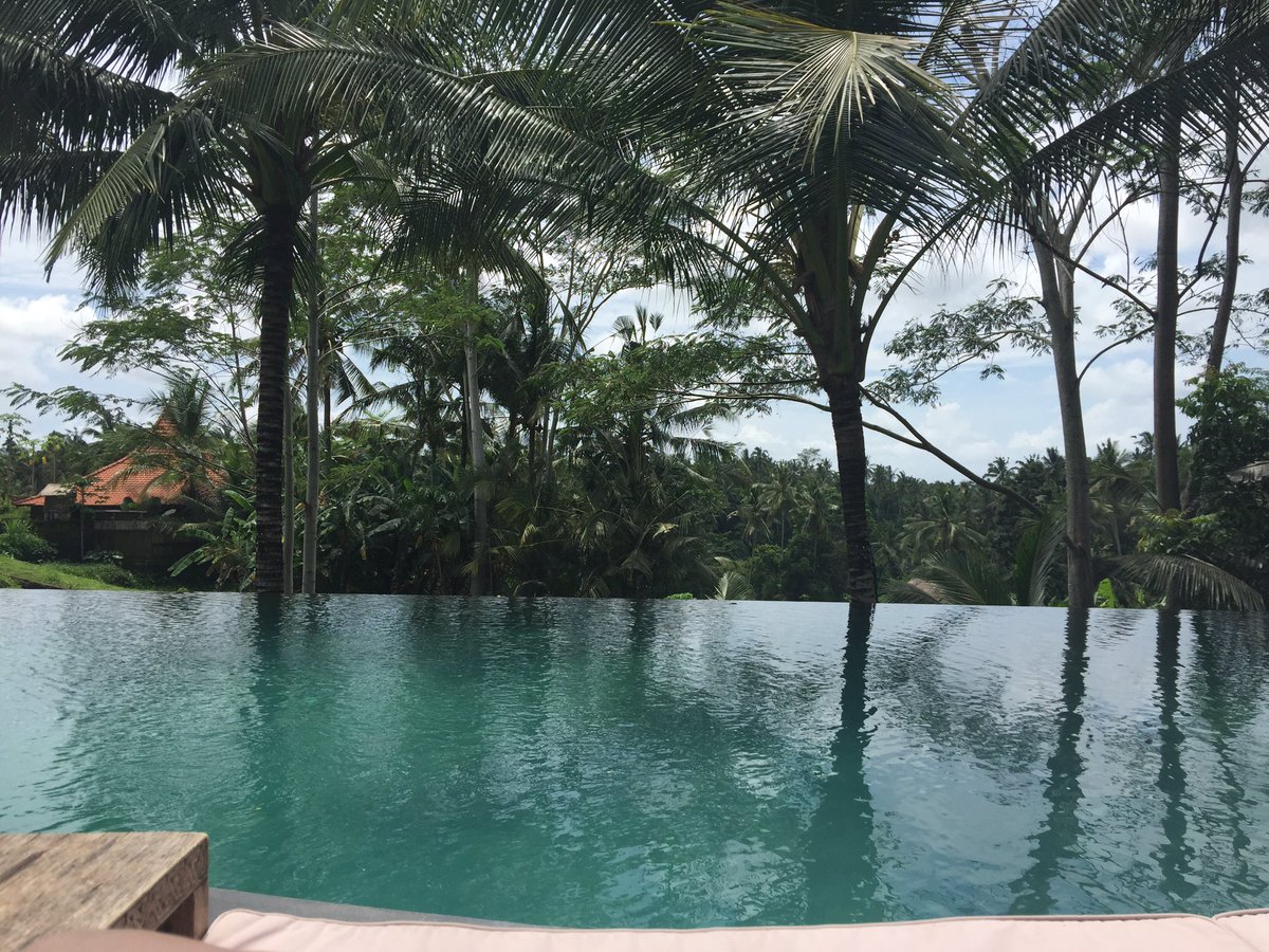 FrancescaRC's tweet image. Bali is Beautiful Happy Christmas everyone 🌲🌺🌴🙏🏻