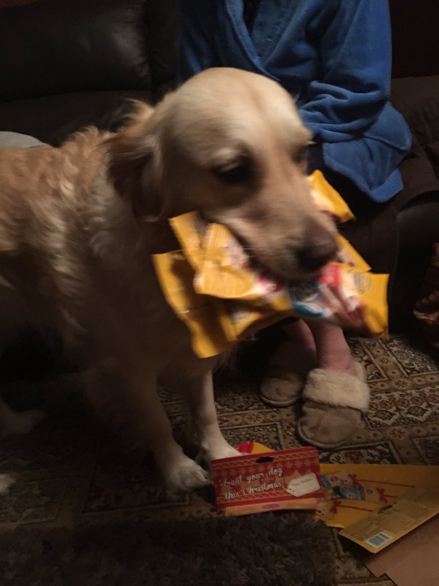 I wanted all my Christmas stocking at once!! Thank you #SantaPaws2016.Happy Christmas everyone!!🎄⛄️🥂🎉❄️🎅🏼