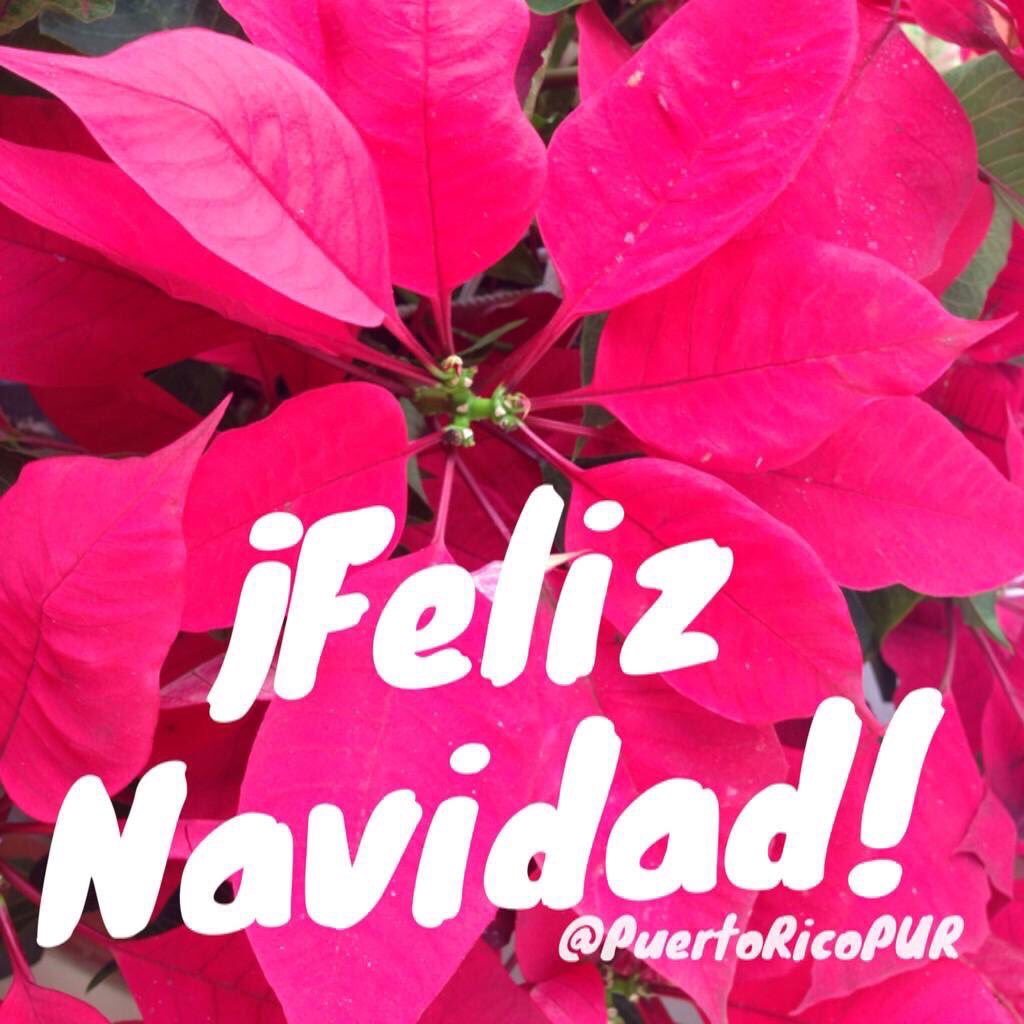 #FelizNavidad from Puerto Rico!