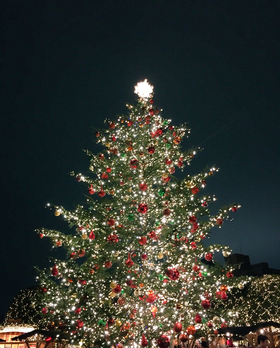 maaaaai0830's tweet photo. Merry Christmas🎄！！
I wish you a lot of happiness❤️✨ https://t.co/ELswDyG8id
