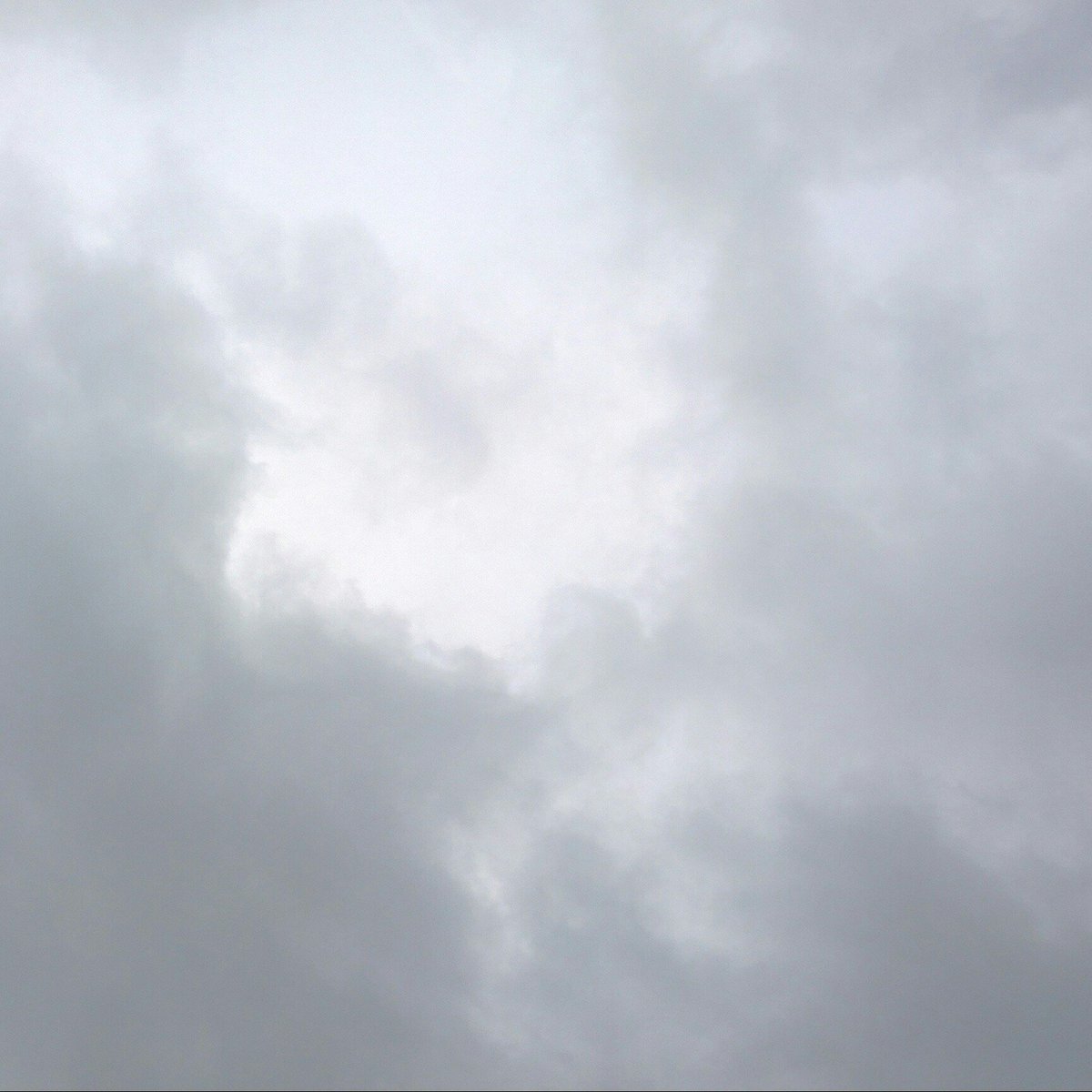 skyoverberlin16's tweet photo. 24th of December '16359/366 #skyoverberlin #berlin #todaysky#dataviz #visualization #skyoverberlin #sky #merrychristmas https://t.co/6xbIJkZXtf