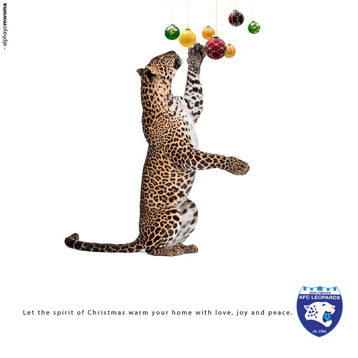 IngweFans's tweet photo. Merry Christmas @AFCLeopards family 🎄🎁🎉🎊 https://t.co/JnIlyjMeRO