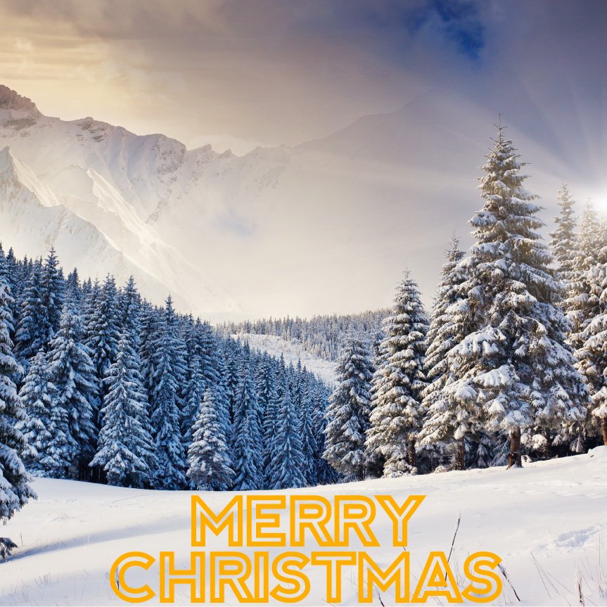 the_wildnorth's tweet photo. Merry Christmas Everyone! #merrychristmas #livethewinter #thewildnorth
#canadian #winterjacket #designer #wintercoat #winterfashion https://t.co/inqNmKTKnj