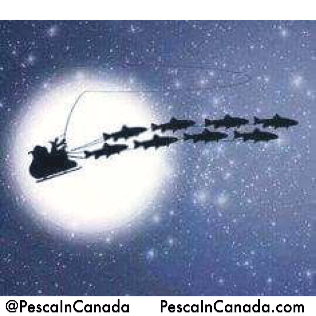 PescaInCanada's tweet photo. Merry Christmas 🎄🎁 Buon Natale @ItaliaFishingTV @OntarioFishHunt @cacciapesca https://t.co/tF0mY3rY8E