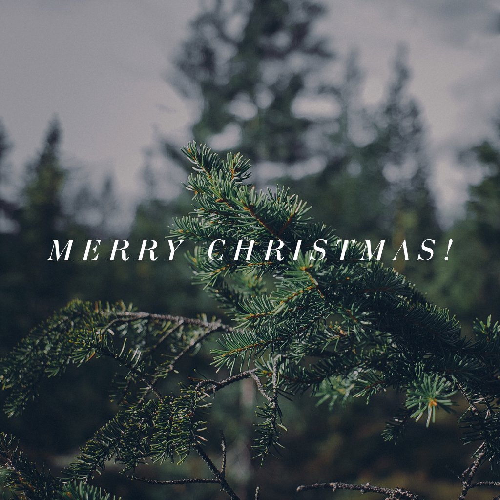 Church of the City | East Nashville tweet media