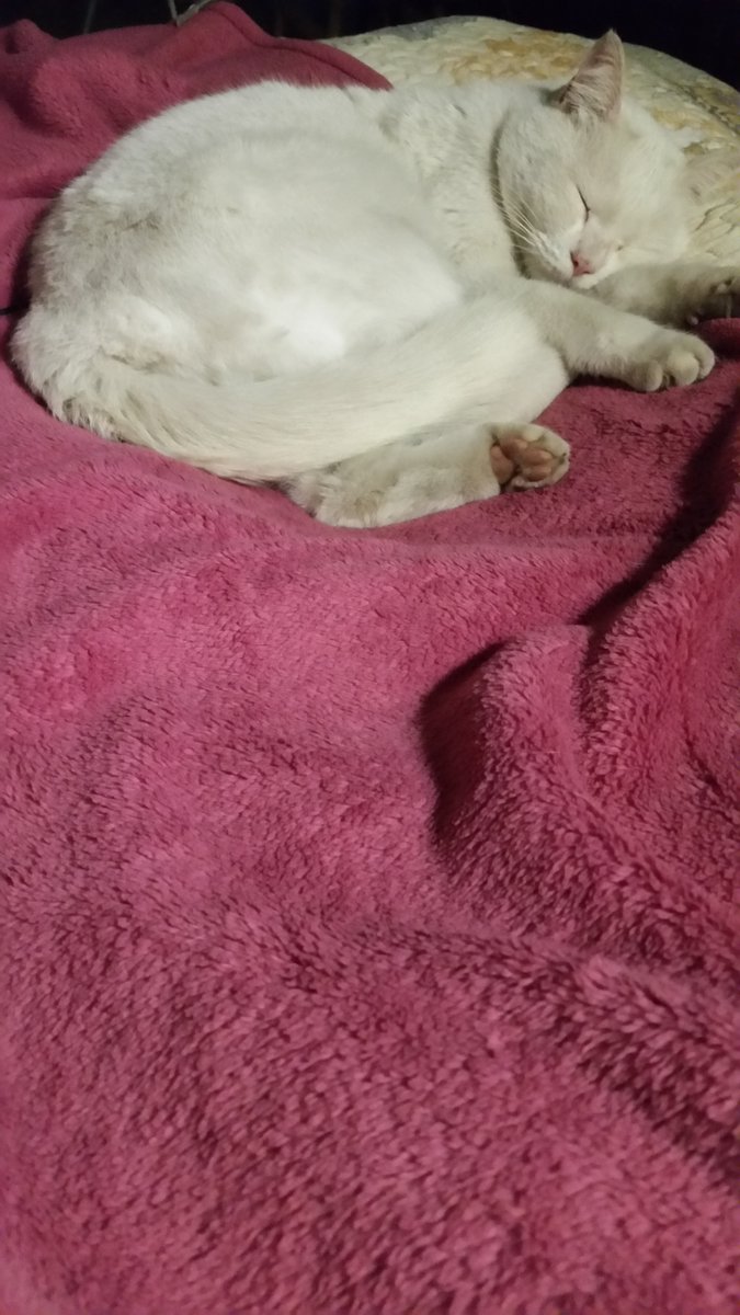 positivewind's tweet image. 