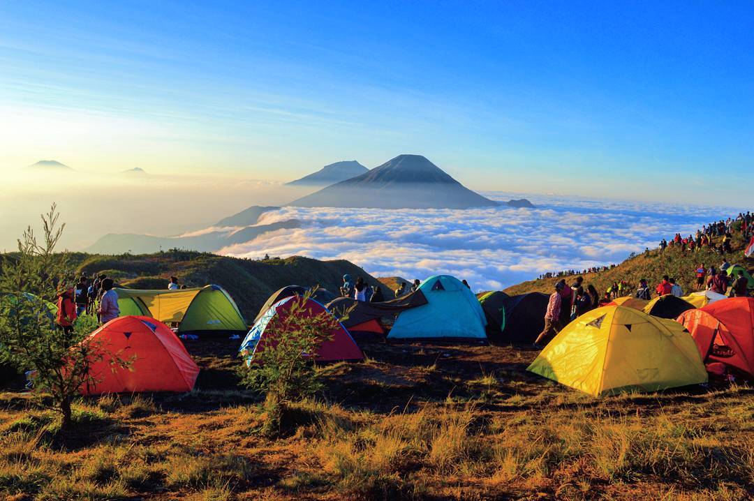 INDONESIAinLOVE's tweet photo. Indonesia sering disebut sebagai negeri di atas awan, negeri indah penuh kedamaian. Indahnya Sunrise dari gunung Prau (Pic: anggiafandy) https://t.co/SOxWAlGMU4