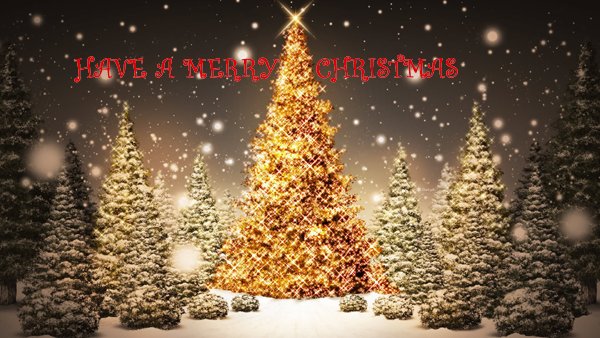 Rite Response (@riteresponse) on Twitter photo 