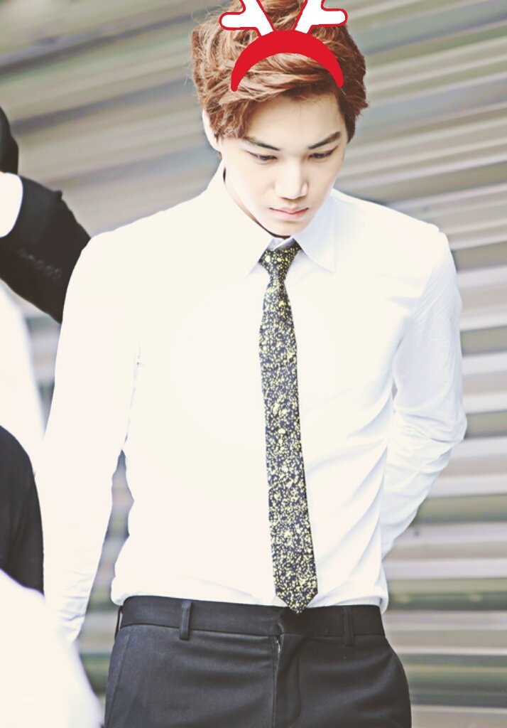 jonginbp's tweet photo. 🌷 merry christmas from jongin and i! we hope you have a great day 🌷 https://t.co/Z4ZlysY2IQ