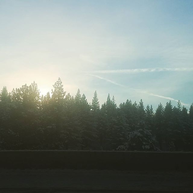 DanielFlocchini's tweet photo. What a perfect Christmas morning. Happy Holidays peeps! #abouttoshred #powderday #bluebird https://t.co/r1LJOjrWNl