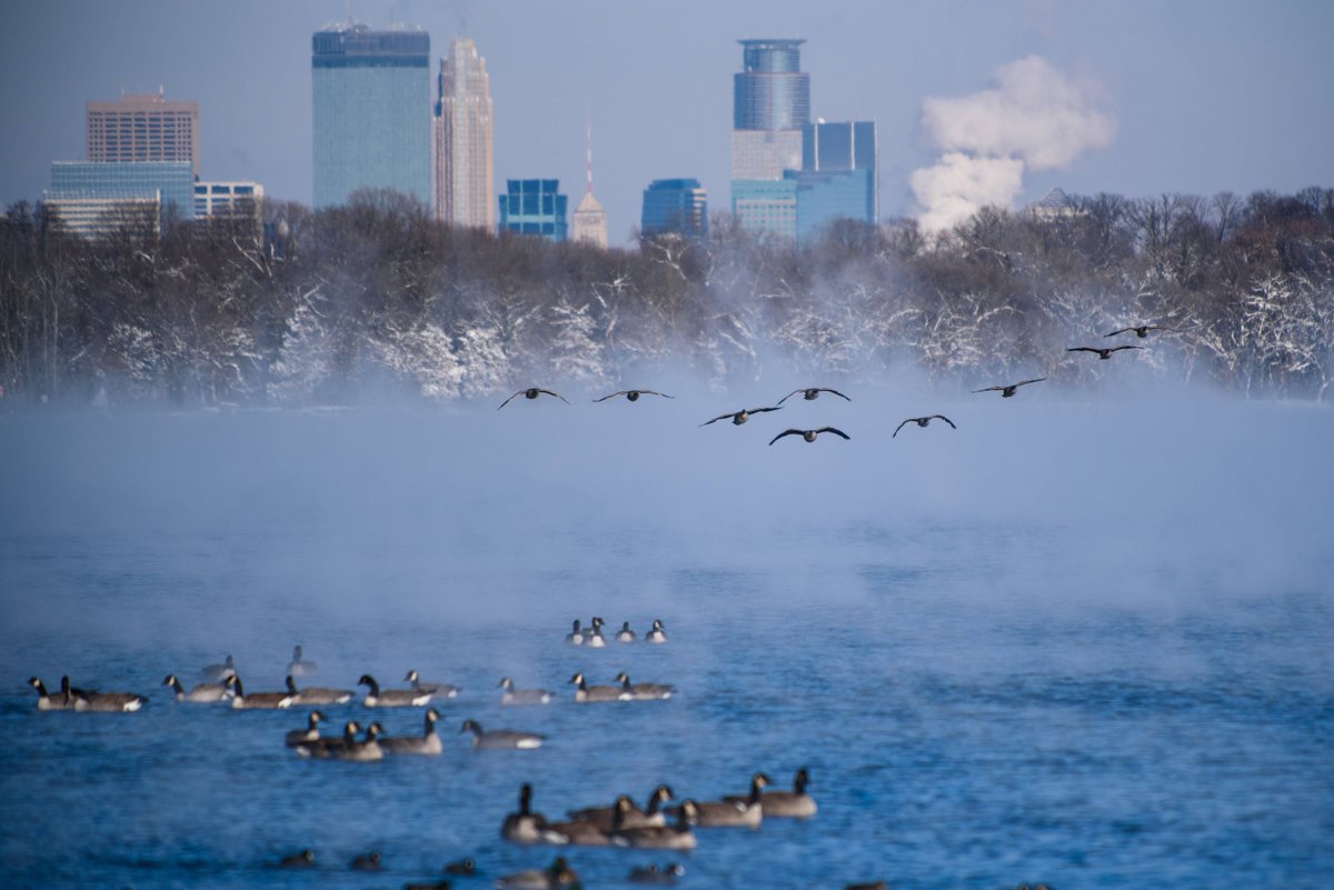 BestPixMN's tweet photo. A cold Lake Harriet on a winter morning. https://t.co/0TC9cUs2pR