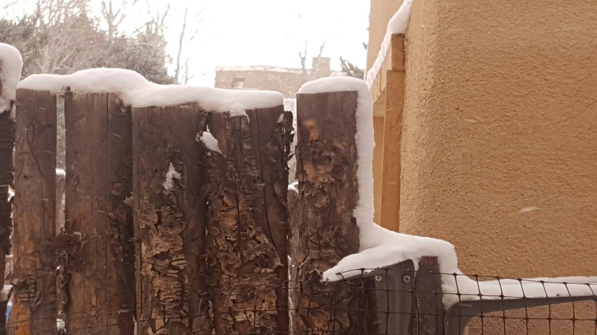 JacobGotwals's tweet photo. Snowy Christmas morning! https://t.co/AqABKIzf0w