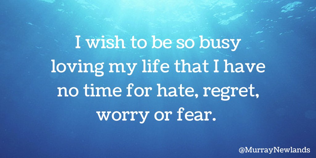 MurrayNewlands's tweet photo. I wish to be so busy loving my life that I have no time for hate, regret, worry or fear. #LoveLife #Motivational #Positivity https://t.co/SEXmY3rCRZ