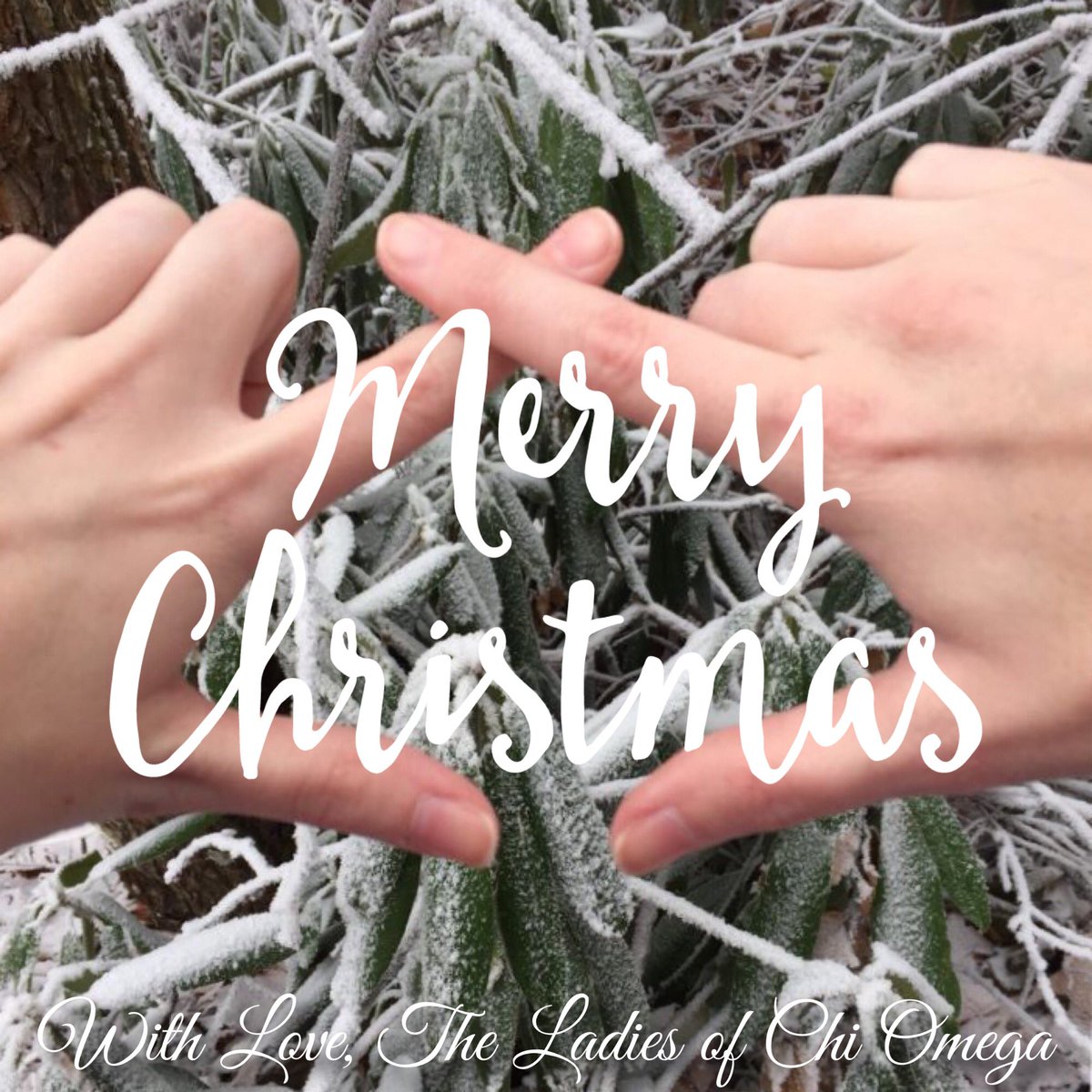 We are wishing everyone a very Merry Christmas ❤️💚