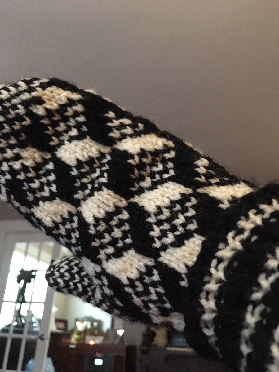 nicolek1989's tweet photo. New mittens #shoplocal #trinitycrafts https://t.co/m5Y3e0oQ0m
