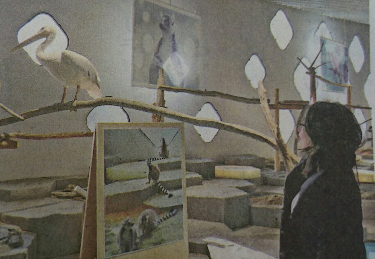 日経ｍｊ Na Twitteri 26日付 Mjから 大阪 エキスポシティの一角にある ニフレル 動物 館 水族館 美術館を合わせたような展示で注目されています 動物はオリに入らず ペリカン キツネザル カピバラなどが放たれ目の前に 間近で生き物に触れられます