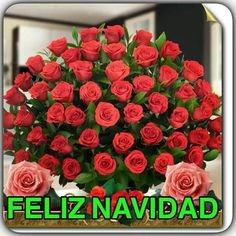 LilloMily's tweet photo. https://t.co/NBi68U1bXp