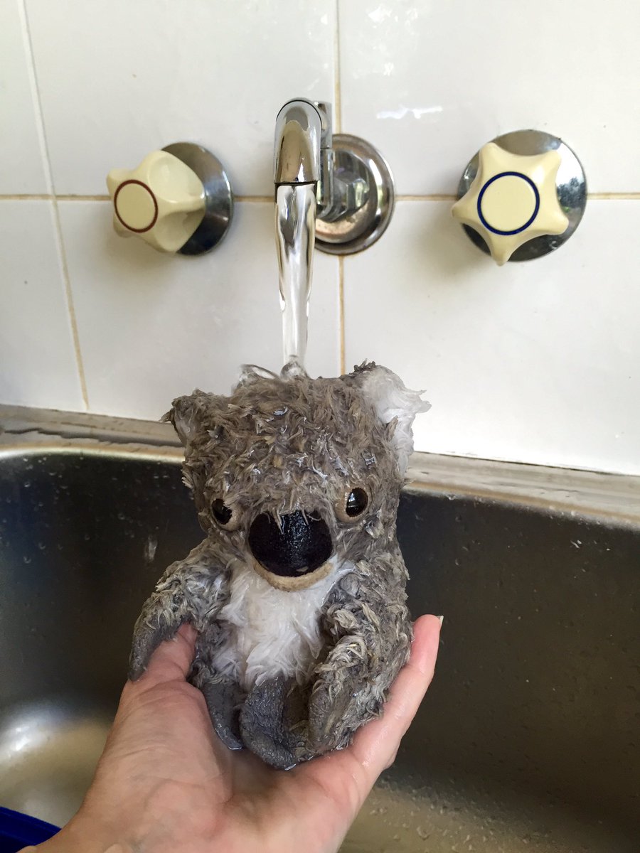 Brucekoalaandco's tweet photo. Just like having a Vichy shower! #dayspa #relax #rinseoff #boxingday #vichyshower @MySunshineCoast @sunshinecoastoz #ubankoalagetsabath https://t.co/abPFfBhQ1A
