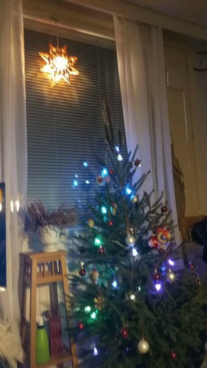 lutajobe's tweet photo. @rattycastle They have Christmas on 24th.
Some pics I have. #sqirrell #onlyrealtreesinfinland https://t.co/X9Fz4rB7MY