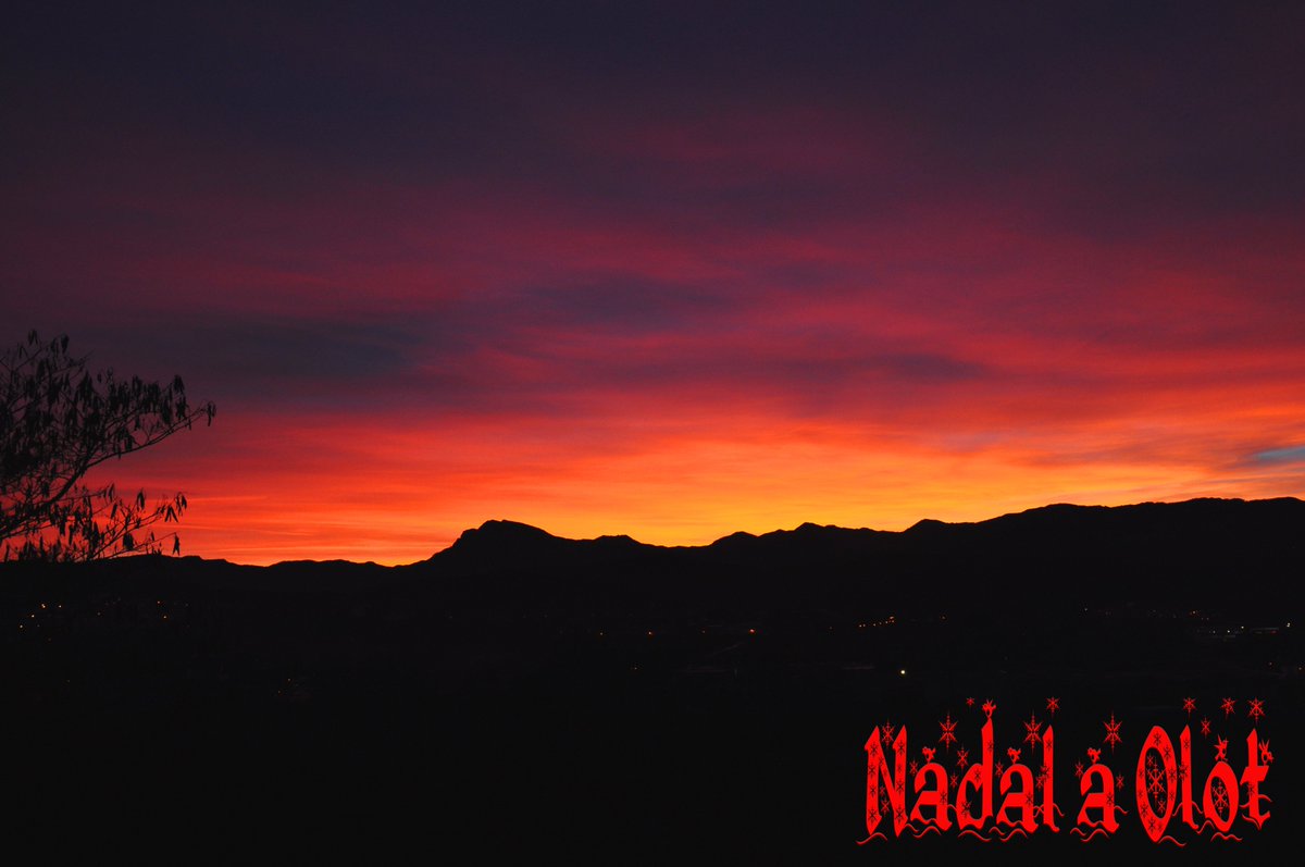 🎄🎄🎄🌟🌟🎄🎄🎄