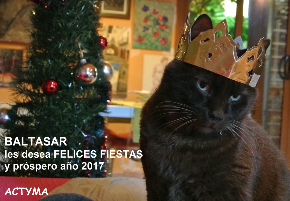 ACTYMA1's tweet image. 