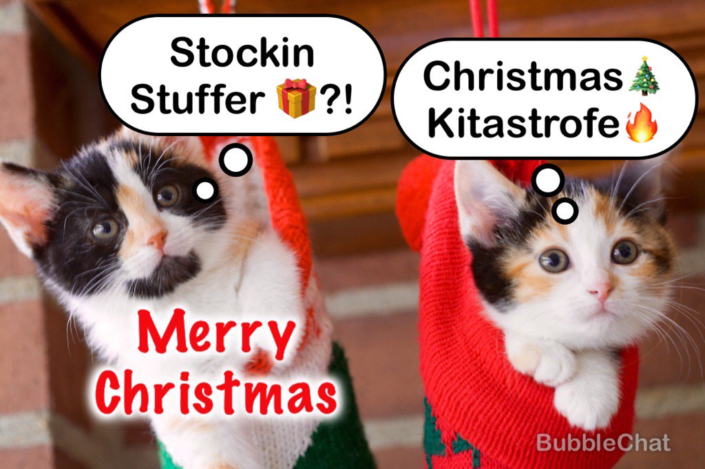 captionmagicapp's tweet image. Merry Christmas!  #catmemes #christmasmeme #MEMES