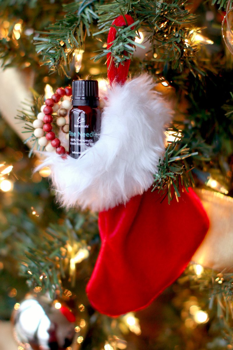 loBotanicals's tweet photo. Merry Christmas from our l:o Botanicals family to yours! Wishing you a day that is merry &amp; bright.  #holiday #gift https://t.co/z298IO570Y