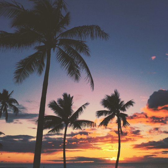 beach_sekai's tweet photo. could watch this a million times and never get tired of it 😍
#行っ���みたい #綺麗 https://t.co/EAW0G0RNUc