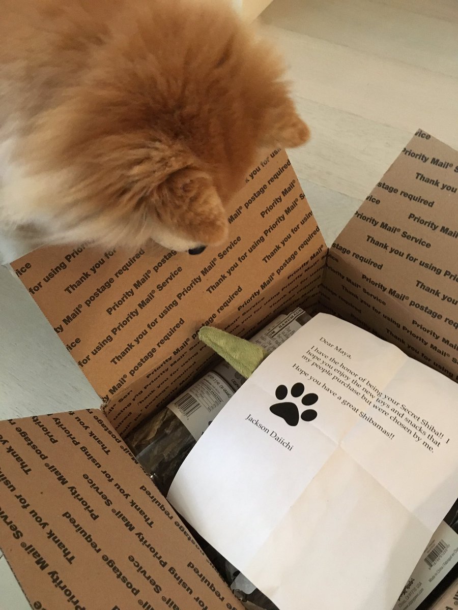 ShibaInuMaya's tweet photo. Thank you @ShibaJackson for the pawsome #secretshiba gifts! The noms iz so yum. Merry #Shibamas! @secretshiba https://t.co/qK1d3LbGvk