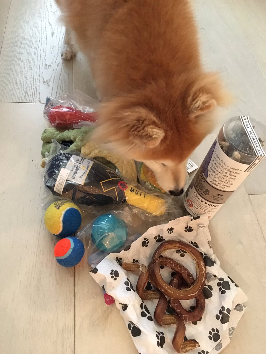 ShibaInuMaya's tweet photo. Thank you @ShibaJackson for the pawsome #secretshiba gifts! The noms iz so yum. Merry #Shibamas! @secretshiba https://t.co/qK1d3LbGvk