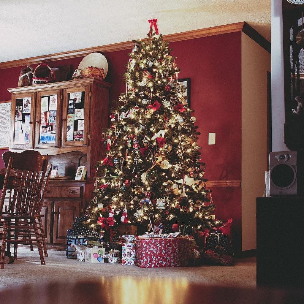 ItsMeTobyJo's tweet image. 🎵"may we all stay higher than the angel on the top of the tree" 🎄MERRY CHRISTMAS ift.tt/2ih4ikT