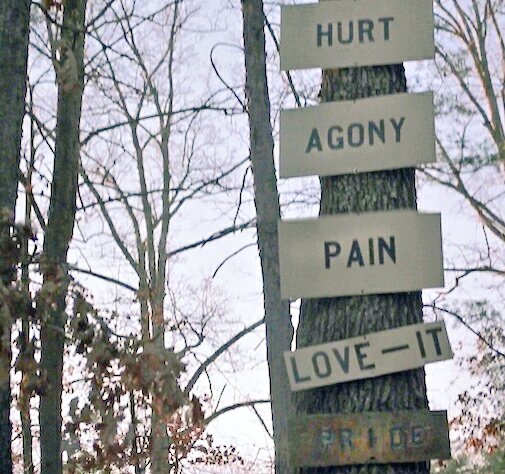 zigiella's tweet photo. Hurt, agony, pain, love it... https://t.co/qFrK7r5eiX