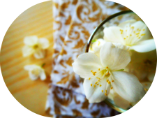 vignette