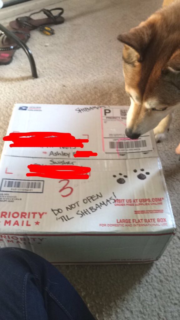 SwisherShiba's tweet photo. I got my @secretshiba present from @KenjitheShiba !!! https://t.co/QC3xJDTnYq
