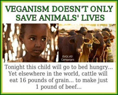 JaySusV's tweet photo. #PeaceOnEarth Starts on your Plate #GoVegan
#Christmas
#HappyHolidays
#HappyHanukkah
#SantaTracker
#TheBestGiftIs
#ItsAWonderfulLife
#Vegan https://t.co/Y0Pt6jKBan