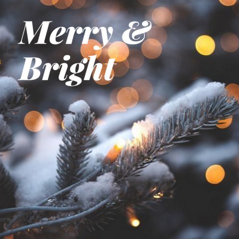museinharbor's tweet photo. Have a lovely holiday. https://t.co/uYcOfhSWMz