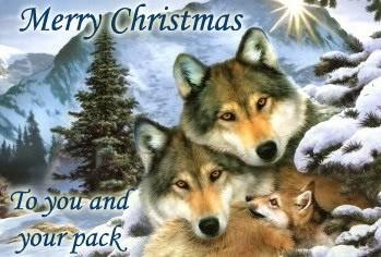 🐺🎄