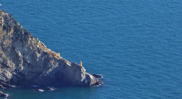 valentinaInn's tweet photo. cinque terre,il "mio"mare che accarezza le montagne. https://t.co/R53T0DmWCk