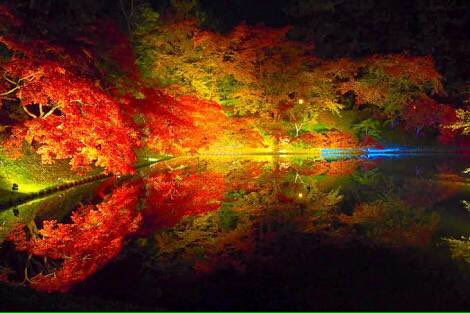 uttoti_view tweet picture