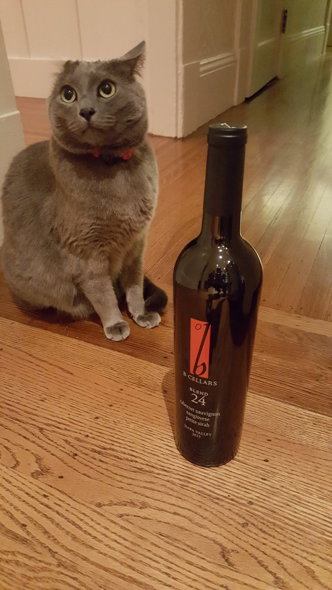 borisbluecat's tweet photo. B is for Boris, so this wine is for me, right? Merry Christmas to me! #CatsOfTwitter #merrychristmas https://t.co/tfCKGXYE6Q