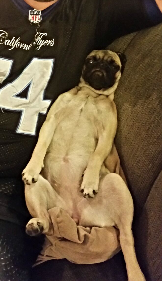 CAFlyersCheer's tweet image. Christmas got me like...
(Gym open Tuesday)
#ChristmasDinner #imgoodtho