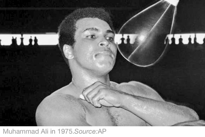 melissahoyer's tweet photo. The list of pop culture &amp; musical achievers/poets who have died this year is astounding https://t.co/guedB8kqmU. @newscomauHQ https://t.co/MMDz2YsMSg