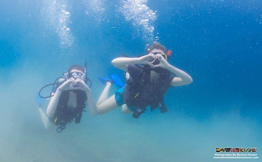 divedownbelow's tweet photo. Wish to explore our beautiful #Oceans underwater? #Learn2Dive &amp; become an #OpenWaterDiver with @divedownbelow today! https://t.co/N0u7u8hYN2 https://t.co/fJ8h1Ia335