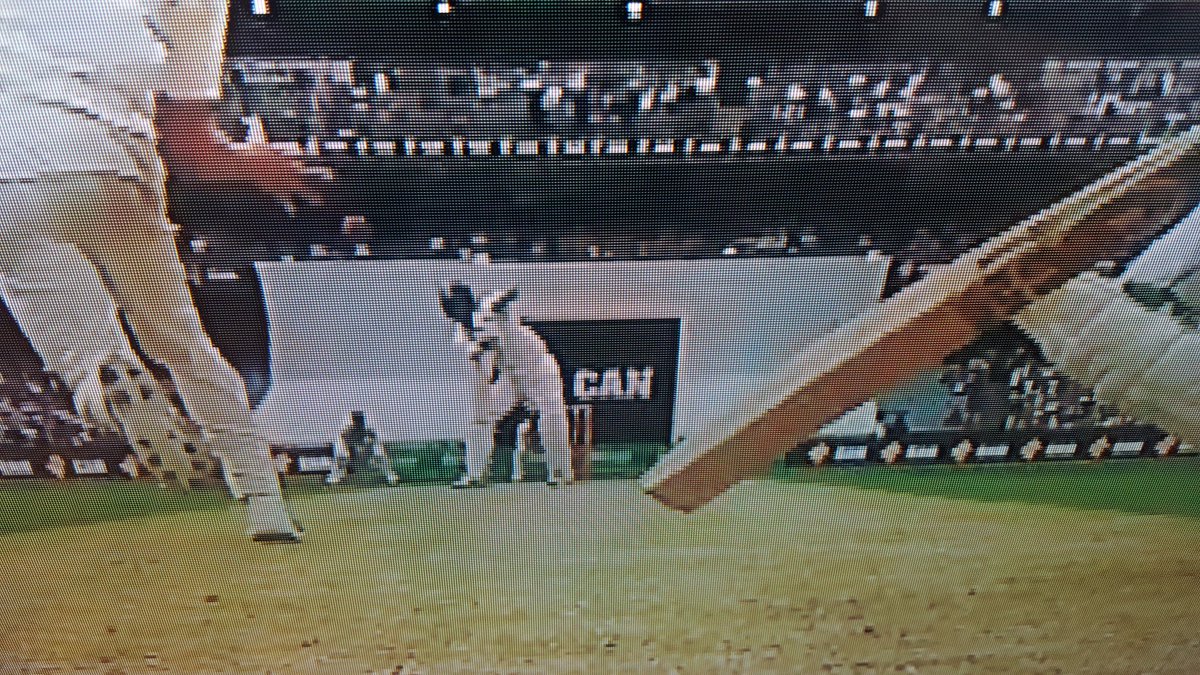 11naxos's tweet image. @CricketAus @ICC Do away with the term #sightscreen &amp;amp; replace it with #Internal #Interchangeable #Advertising #Screen #AUSvPAK #notrequired