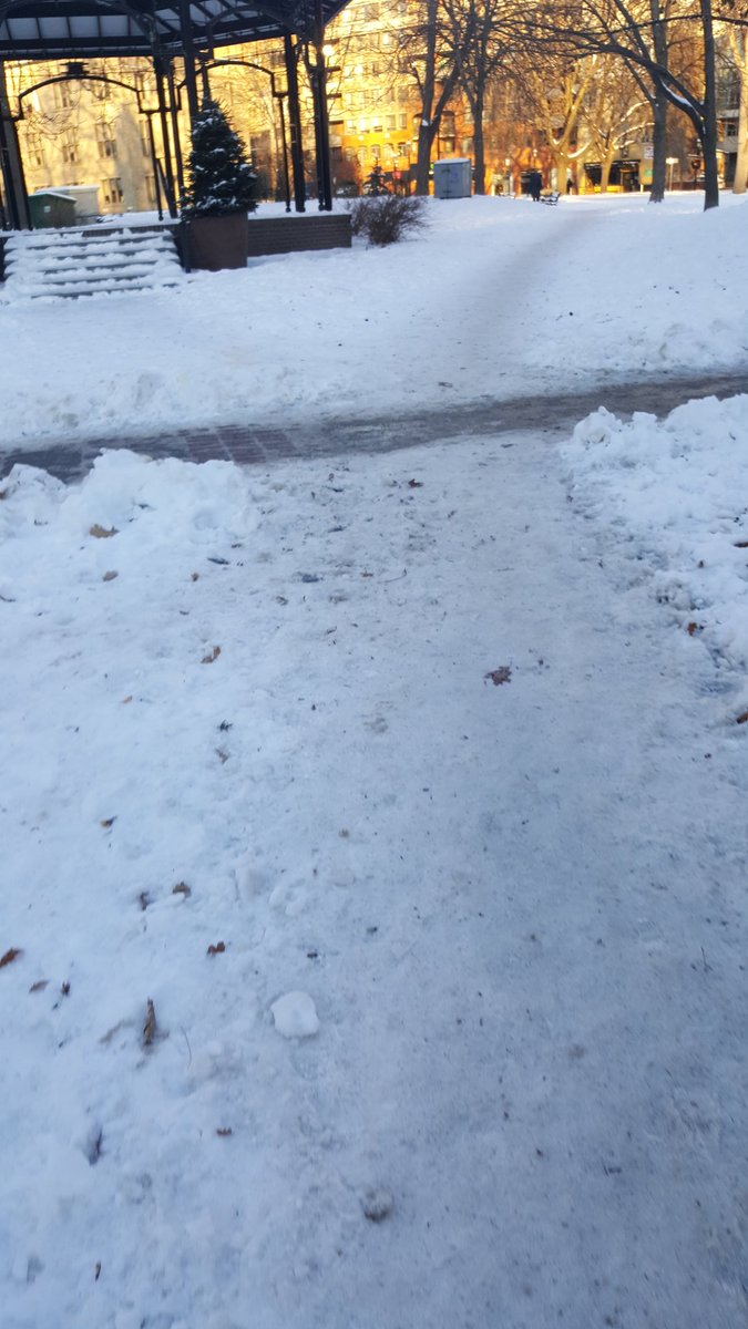 ChristineHolly's tweet photo. @311Toronto  still not clear. this pic was taken Friday am. https://t.co/Tyuk0mE6Fj