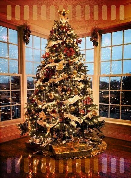 MacKaytty's tweet image. 🎄 •Rol 🎁 Navideño• 🎅

-Había estado esperando todo el año esta fecha, precisamente por que la Navidad era mi época favorita del año. Me [+]